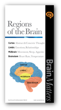 Brain Matters - Poster Set
