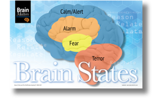 Brain Matters Large Poster